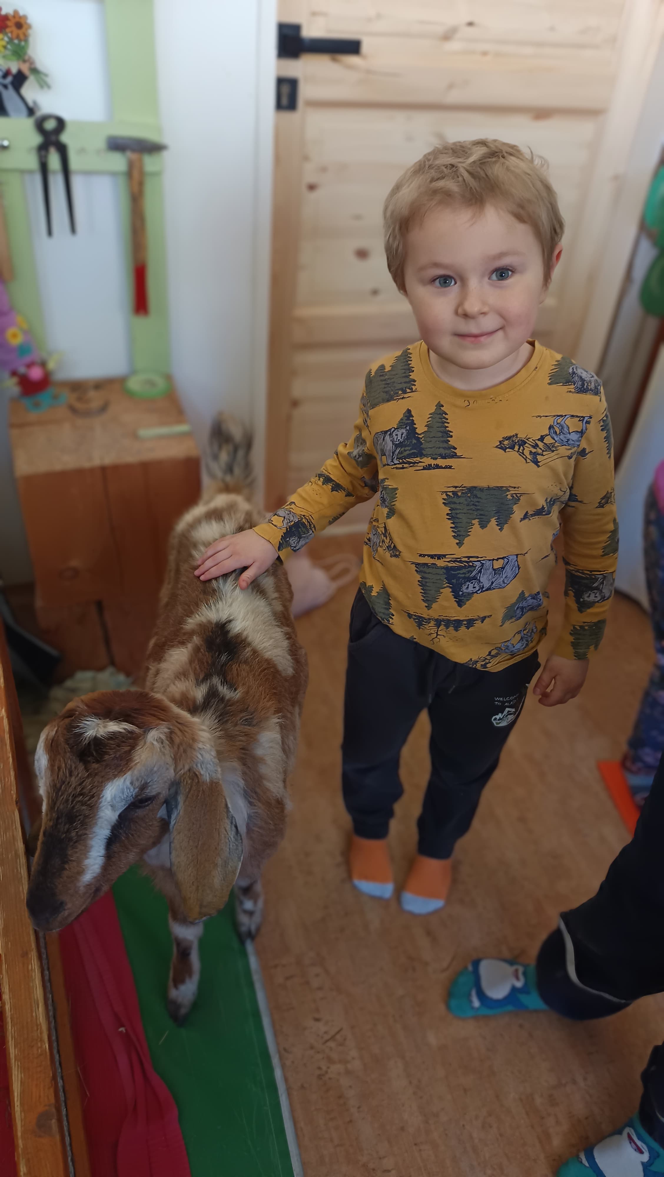 Zvířátka v Lentilce obrázek